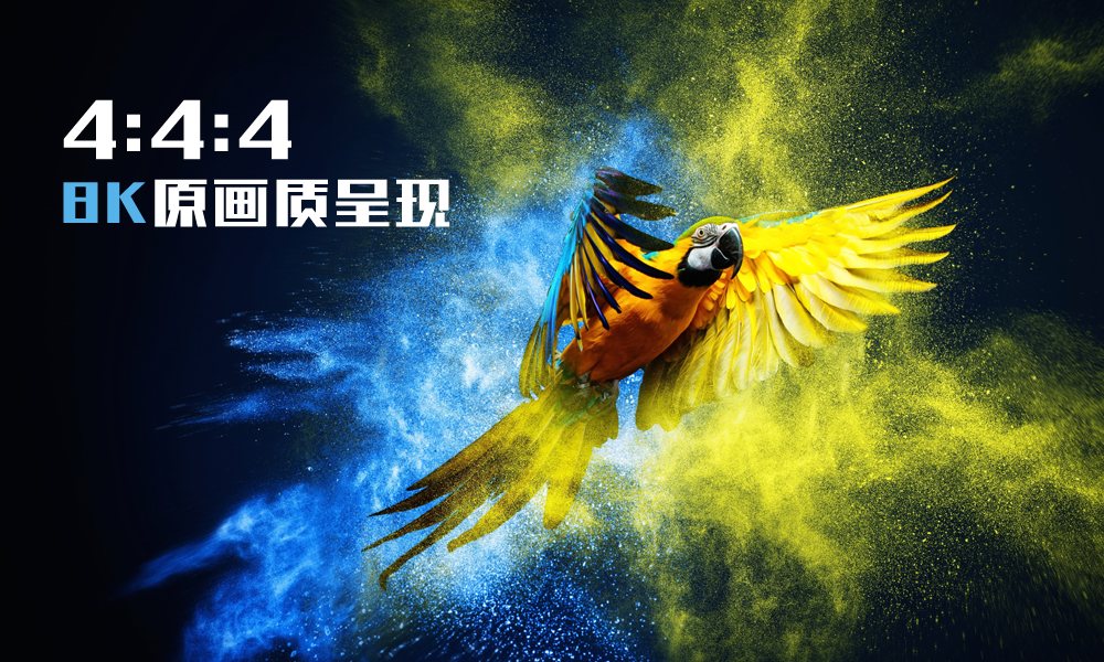 8K+4:4:4原画质呈现